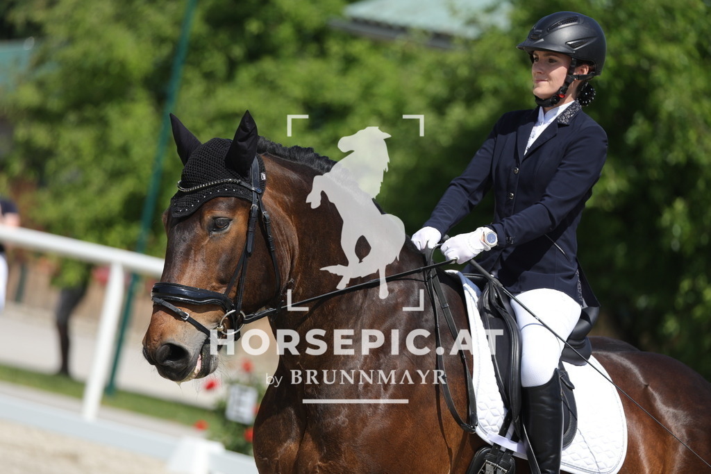 0P6A0941 | Willkommen bei Brunnmayr - Design & Fotografie – Ihrem Spezialisten für Reitturniere und Pferdeveranstaltungen in Oberösterreich, Salzburg und Bayern! Seit über 17 Jahren sind wir leidenschaftlich dabei.