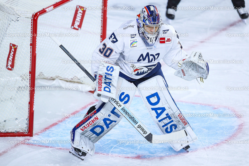 KoeDEL08032402114 | 08.03.2024, Köln, Eishockey, Penny DEL, 52. Spieltag, Lanxess-Arena, Kölner Haie - Adler Mannheim: Torhüter Arno Tiefensee (Adler Mannheim)