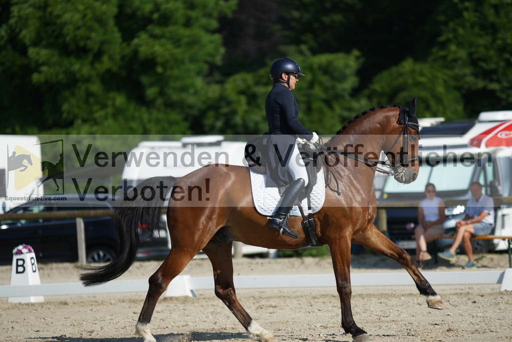 DSC02513 | equestrian-live-com