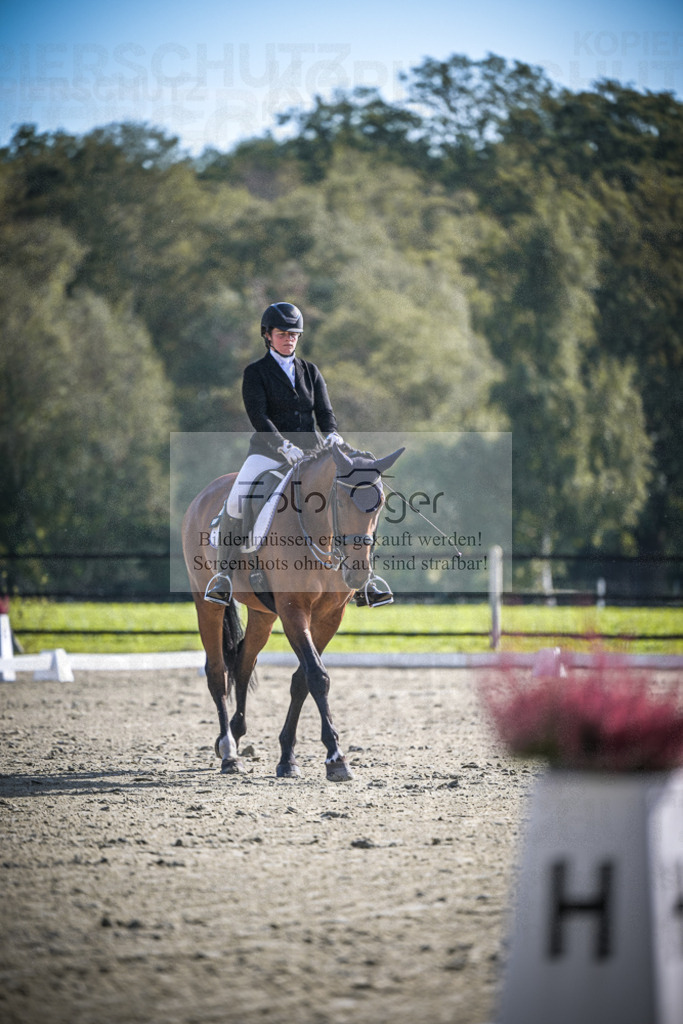 DOS_1421 | Entdecke hochwertige Reitturnierfotos von Foto Oger. Professionell, emotional und authentisch – jetzt Lieblingsmomente im Shop bestellen.Deutschlandweite Turnierfotografie. - Realisiert mit Pictrs.com