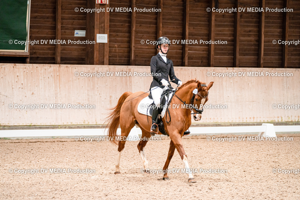 Dressur Tag 2-83 | dv-media-shop - Realisiert mit Pictrs.com
