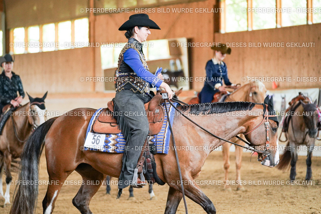 DSC05815 | Pferdegrafie