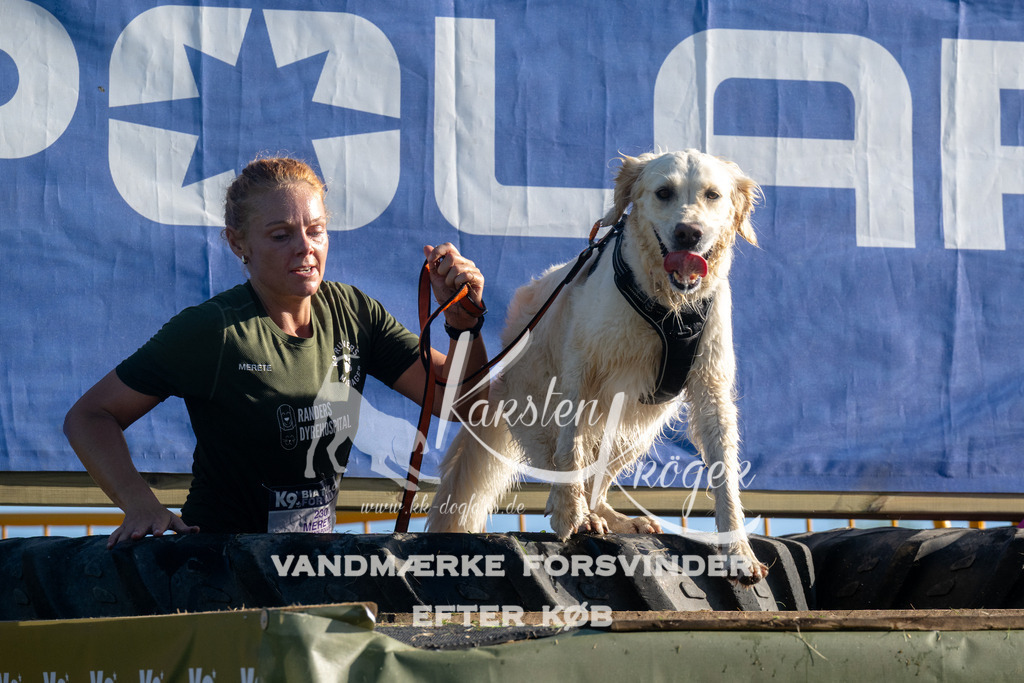 0843_ZZ94758 | kk-dogfotos