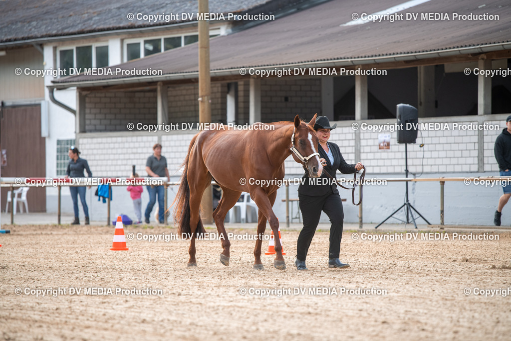 EWP_5508 | dv-media-shop - Realisiert mit Pictrs.com