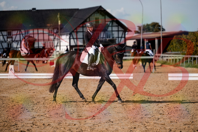 2026_10_03_Siefer-Hof_121706_Z63_40706326 | Professionelle Reitsport-, Turnier- und Eventfotografie von Robert Broda. Galerien mit ausgewählten und bearbeiteten Bildern direkt online ansehen und bestellen.