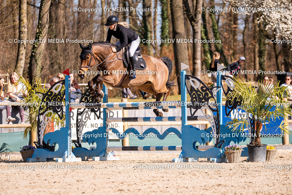 Kranichstein Tag 2-750 | dv-media-shop - Realisiert mit Pictrs.com