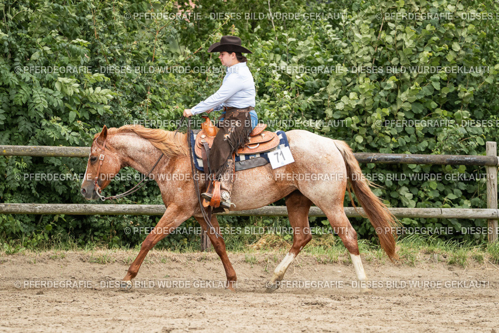 DSC04166 | Pferdegrafie