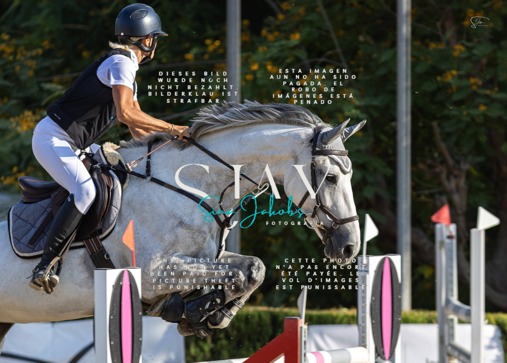 IMG_9430 | s-jay-photography - Realisiert mit Pictrs.com