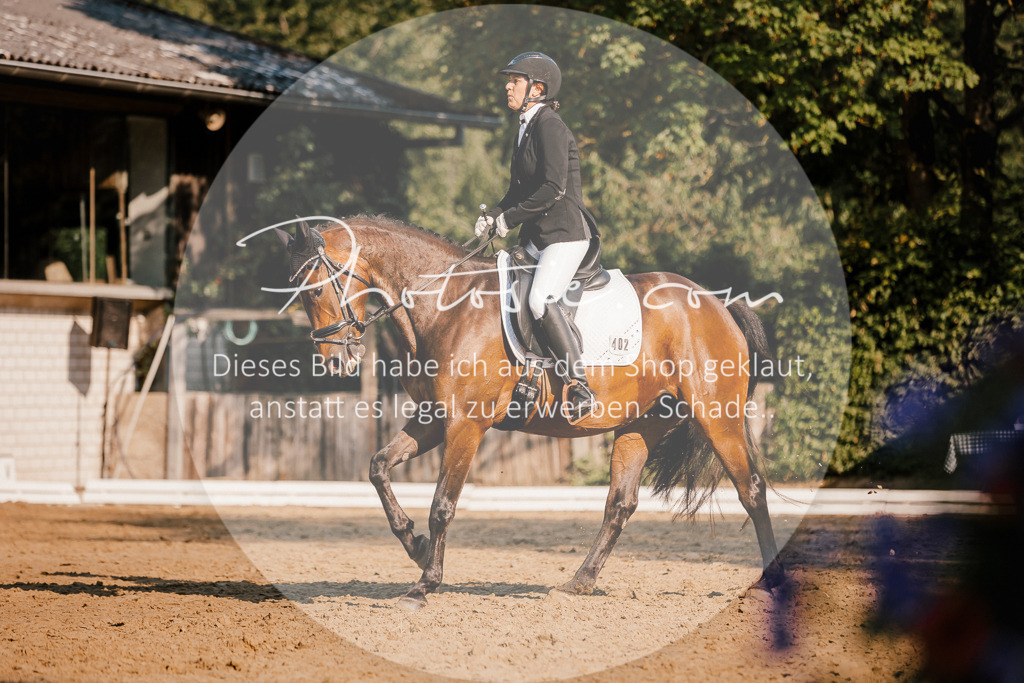 3I6A8663 | Stimmungsvolle Portraits und Reitsportfotografie im Ruhrgebiet und im Münsterland.

Pferdefotografie, Hundefotografie, Tierfotografie, Reportagen, Portraits von Tier und Mensch, Turnierfotografie in Bochum, Recklinghausen, Marl, Haltern am See, Dülmen.. - Realisiert mit Pictrs.com