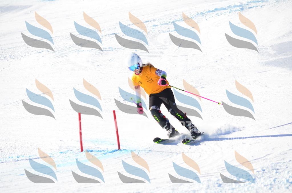 C5820 | holidayphoto