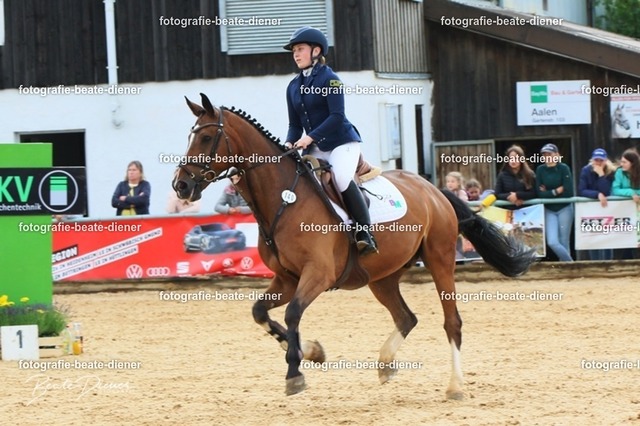 OHT1691 | Fotografie, Tiere, Hunde, Katzen, Pferde, Sportfotografie, Fotosession, Tierfotografie, Turnierfotografie, Fotografin, Fotograf - Realisiert mit Pictrs.com