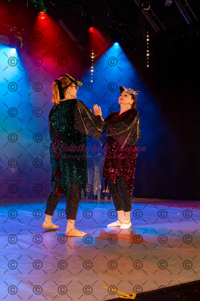 Ballettaufführung-237 | Bildershop Lem'n Entertainment - Realisiert mit Pictrs.com