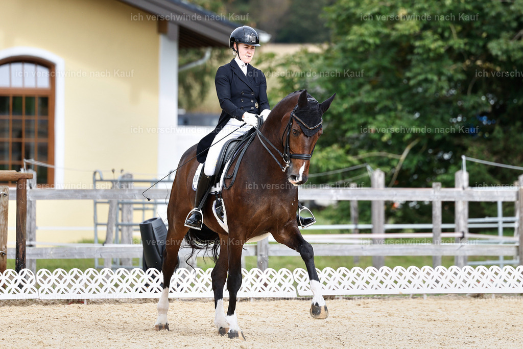 11-091-Dressur S___-StoibPH-1266 | working equitationturnier fotograf videograf stoibphotography marixx film working equitation deutschland reitsport turnierfotografie eventfotografie equestrian events