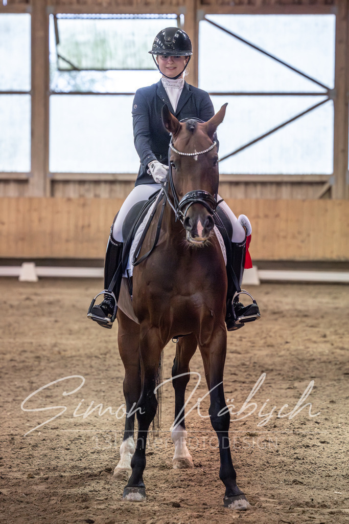 20251011-_3LI2301 | Tierfotografie Pferde, Hunde, Katzen, Haustiere.
Turnierfotografie Reitturniere, Reiten, Springreiten, Dressur in Hanau, dem Main-Kinzig-Kreis und dem Rhein-Main- Gebiet um Frankfurt