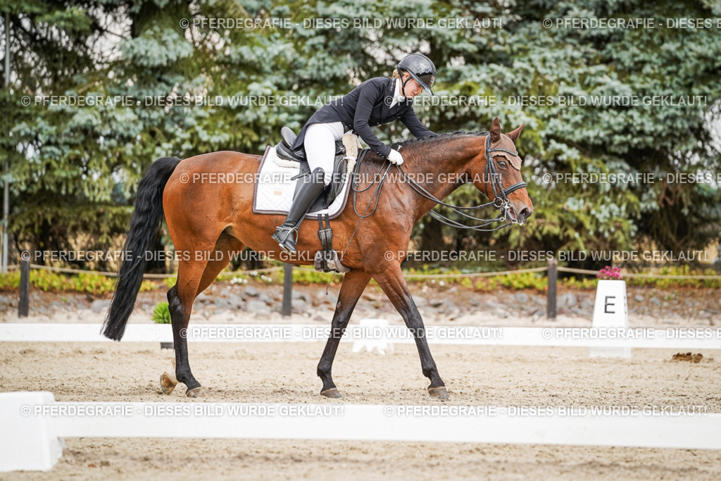 DSC05619 | Pferdegrafie