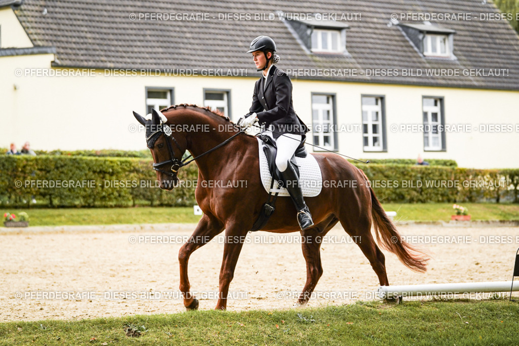 DSC08629 | Pferdegrafie