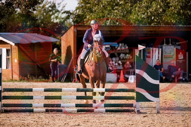 2026_10_03_Siefer-Hof_160637_Z81_88292895 | Professionelle Reitsport-, Turnier- und Eventfotografie von Robert Broda. Galerien mit ausgewählten und bearbeiteten Bildern direkt online ansehen und bestellen.
