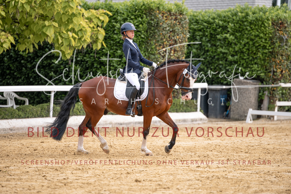 Schugtsche-Aluta25-40.DressurprfA_-305 | Schugtsche Fotografie - Realisiert mit Pictrs.com