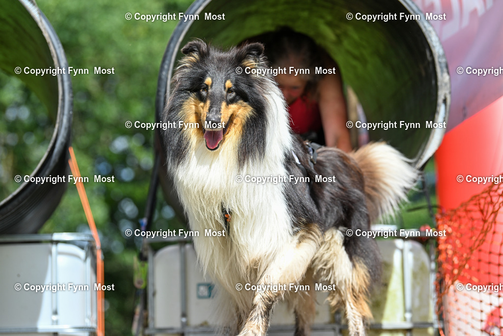 DSC_3355 | Hallo und herzlich Willkommen auf meiner Shop-Seite Fynn Most.

Ich wünsche Dir viel Spaß beim stöbern durch die Bilder, wenn Du Fragen hast oder Bilder vermisst, kannst du mir gerne eine Nachricht schreiben. - Realisiert mit Pictrs.com