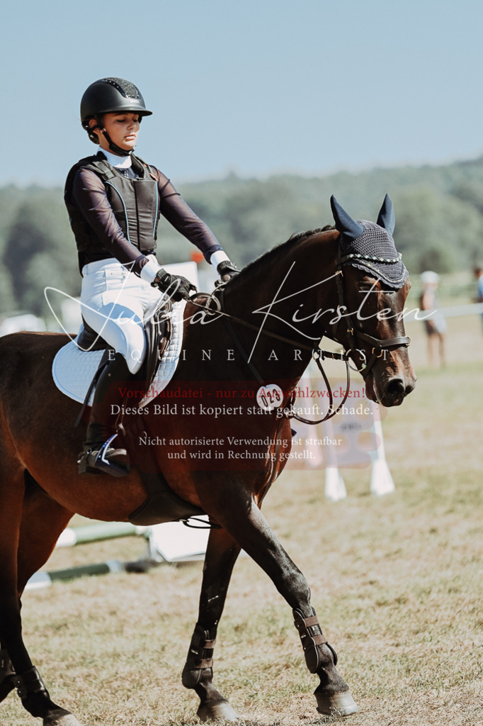 DSC_9506 | Pferde- und Turnierfotografie in Westsachsen. Pferdeportraits, Auftragszeichnungen und intuitive Kunst.