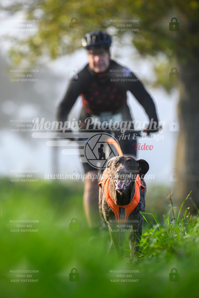 MompixPhotography_20TSB_E3_Bike-131 | PayLife