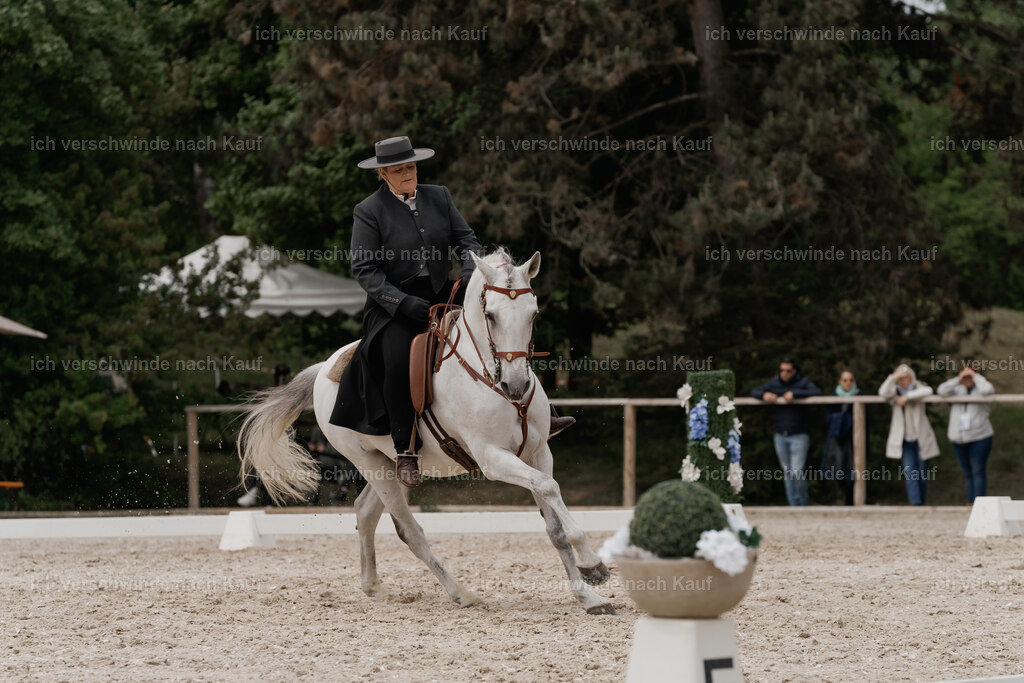 WE_DR_Stoib_321_PI2025_331 | Pferd International München 2025