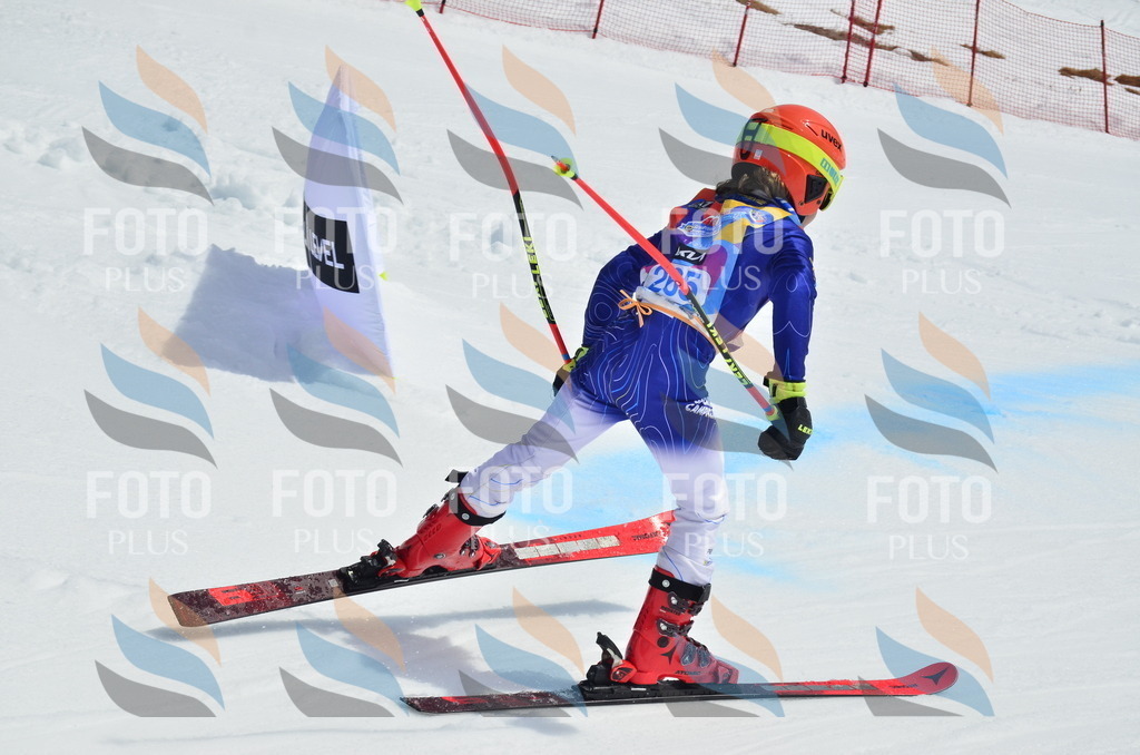 _ELE1979 | holidayphoto