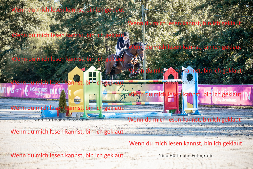 BK1A8759 | Turnierbilder Turnierfotos Nina Hüffmann Turnierfotografie Pferdefotografie Tierzeichnung Haustierzeichnung Pferdezeichnung Hundezeichnung Videograf  - Realisiert mit Pictrs.com