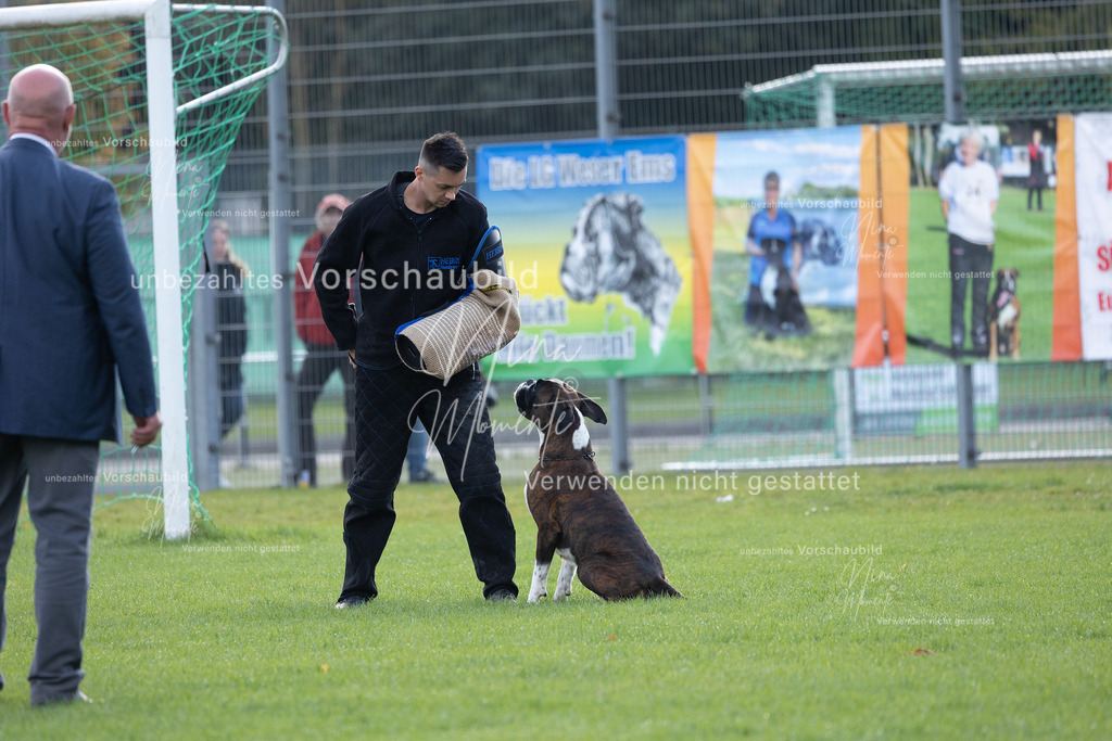 _16A6510 | Einzigartige Fotos von Hunden & Menschen –Actionfotos, Portraits, Vereinsaufnahmen & Paarshootings – authentisch, lebendig & mit Herz.