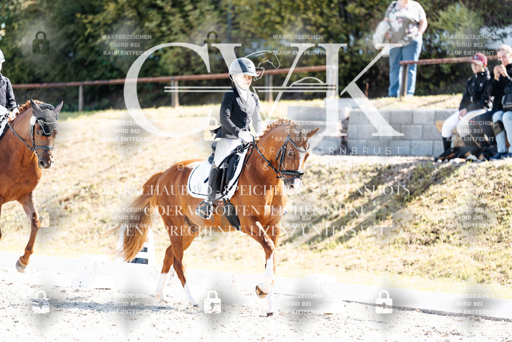 CK903101 | Turnierfotografie Pferdefotografie Trier Rheinland-Pfalz Pferdesport Reitsport Tierfotografie Sportfotografie Pferdevideo Pferdevideografie Equestrianvideography equestrianphotography  - Realisiert mit Pictrs.com