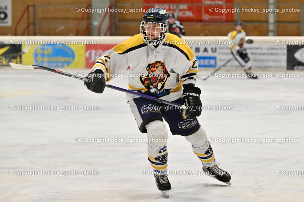 EC Tigers Paternion vs. Tarco Wölfe II | #12 Steiner Domenik EC Tigers Paternion, EC Tigers Paternion vs. Tarco Wölfe II, EC Tigers Paternion vs. Tarco Wölfe II am 19.12.2024 in Spittal an der Drau (Eissportzentrum Spittal), Austria, (Photo by Bernd Stefan)