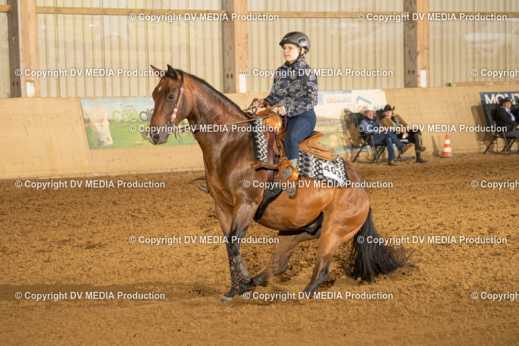 LAU00366 | dv-media-shop - Realisiert mit Pictrs.com