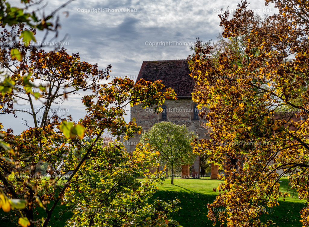 DSC_5113 | bre, Lorsch, Blick von der evangelischen Kirche auf das Klostergelände, goldener Oktobert an der Bergstraße, ,, Bild: Thomas Neu