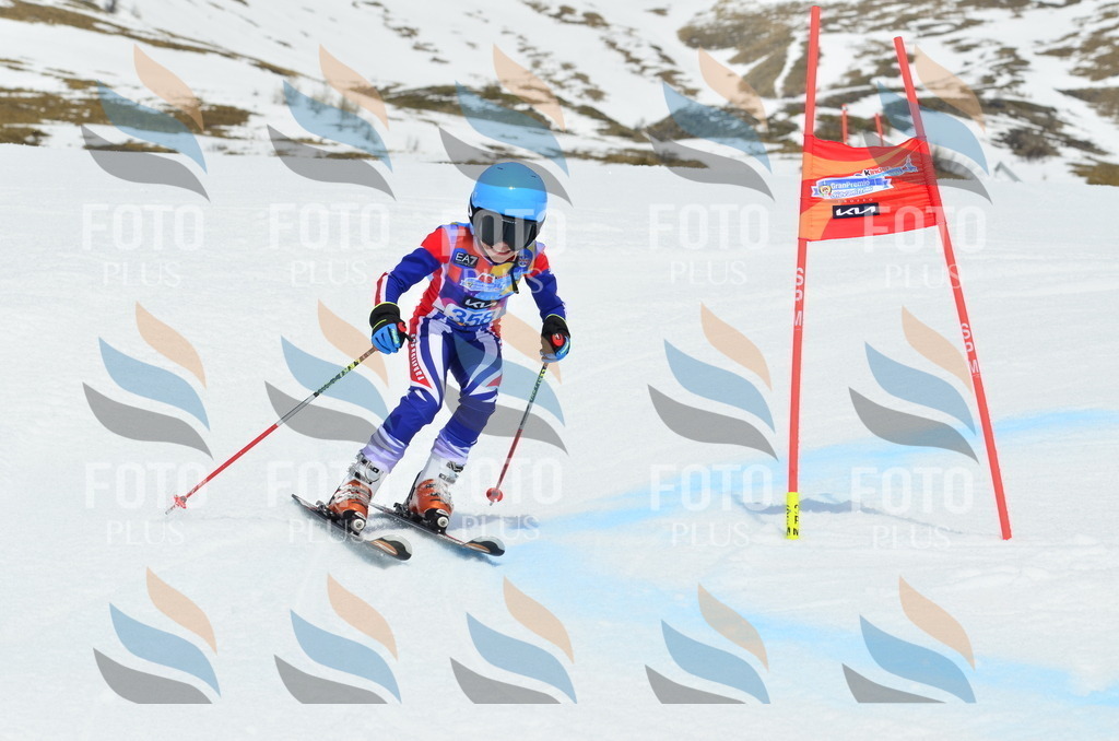 _ELE2809 | holidayphoto