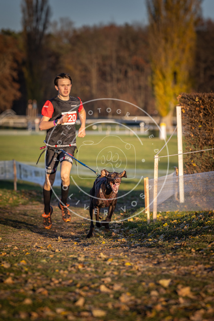 CaniXpix_DV3A4914 | Hundefotografie, Tierfotograf, Pfotenfotografie, Fotoshooting Hund, Hunde Portrait, Hundesport, Hundeportraits, Heideshooting, Hunde, Sportfotograf, Hundefotograf, Turnierhundsport, THS,  - Realisiert mit Pictrs.com