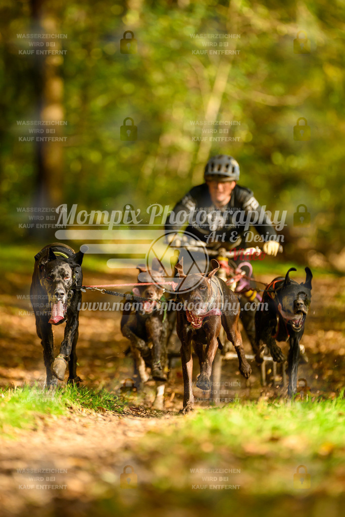 MompixPhotography_20TSB_E1_Kart-2 | PayLife