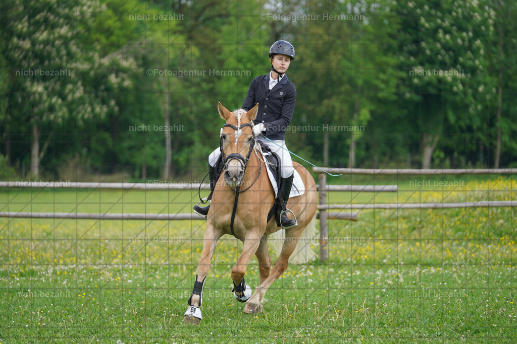 20240509-FAH02309 | Turnierbilder der Turnierfotografen Bayern, Pferdesport Fotografie, Reitsportbilder, Turnier Landberg am Lech, Turnierbilder bayern, Fotoagentur Herrmann