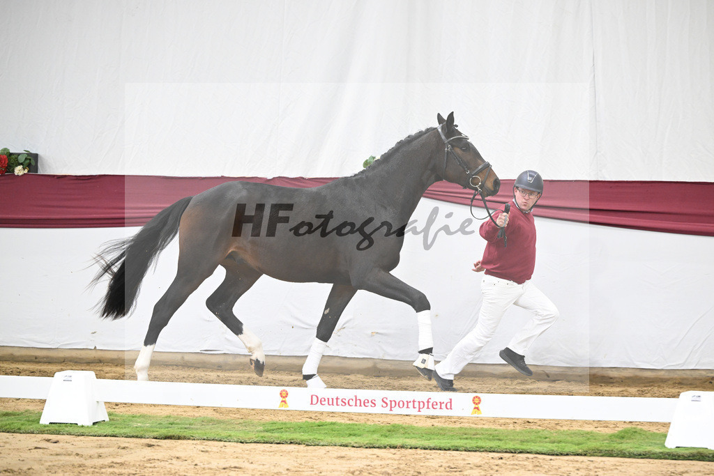 Kat-Nr. 28 Vidar x Zoom_Willi Schneider_47250914 | hf-fotografie - Realisiert mit Pictrs.com