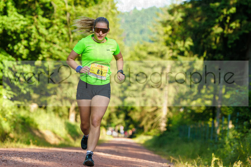 25. Rennsteig-Staffellauf | 170 km Hörschel - Blankenstein