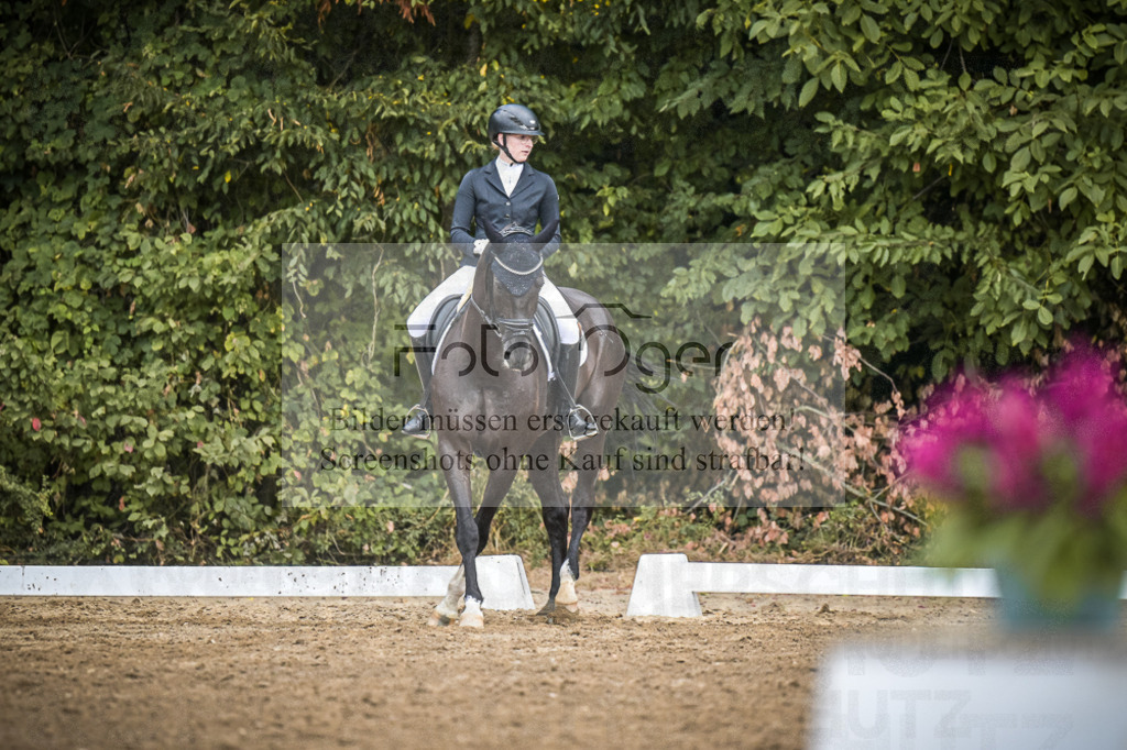 DOS_4748 | Entdecke hochwertige Reitturnierfotos von Foto Oger. Professionell, emotional und authentisch – jetzt Lieblingsmomente im Shop bestellen.Deutschlandweite Turnierfotografie. - Realisiert mit Pictrs.com