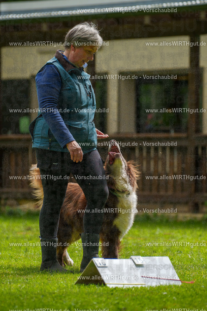 @allesWIRTHgut_Tierfotografie - www.allesWIRTHgut.de - 101213-7R508165 | Professionelle Tierfotografie in Mönchengladbach von Daniel Wirth (allesWIRTHgut). Liebevolle & natürliche Bilder von Hunden & Katzen für unvergessliche Erinnerungen.