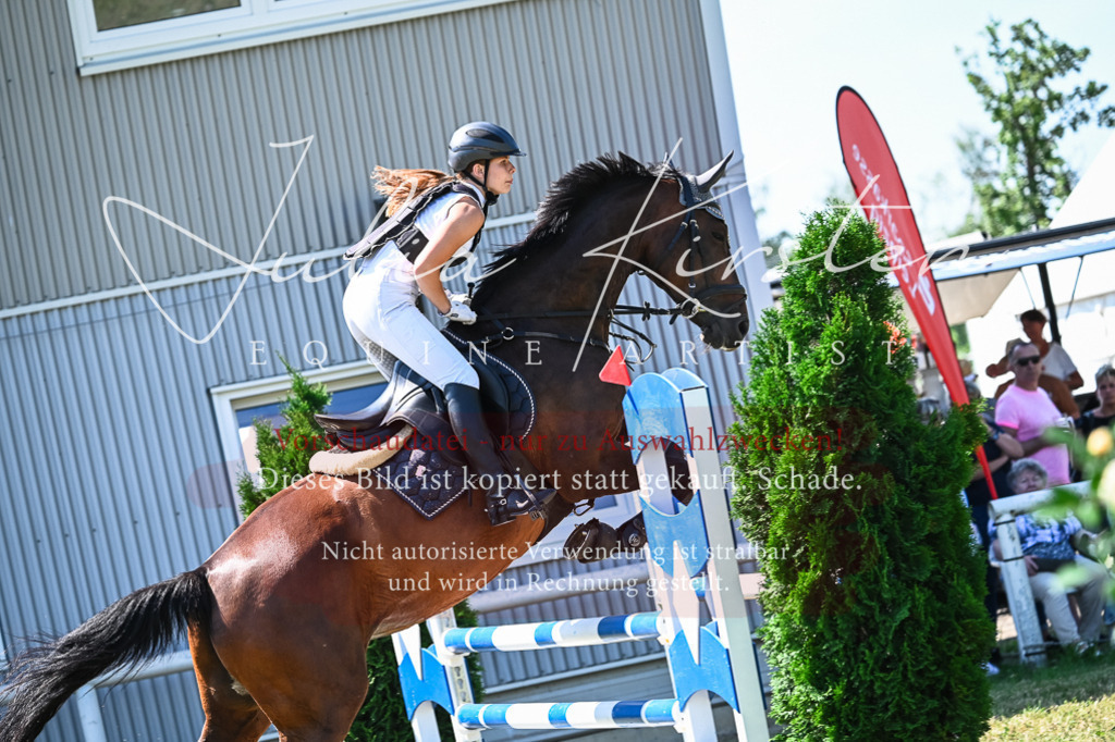 DSC_1062 | Pferde- und Turnierfotografie in Westsachsen. Pferdeportraits, Auftragszeichnungen und intuitive Kunst.