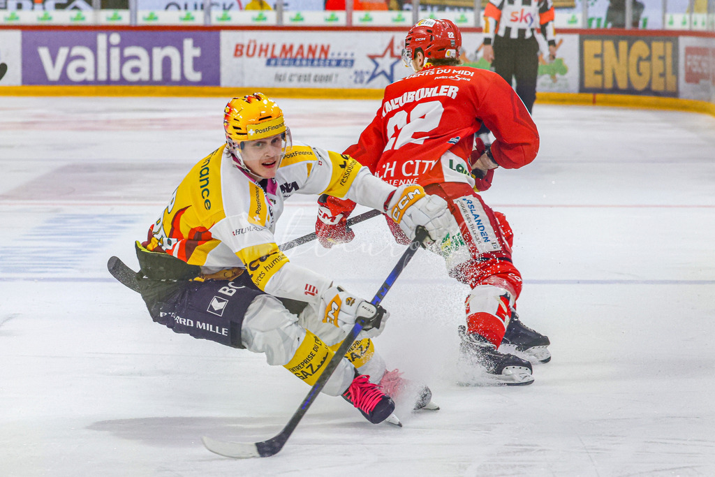 EHCB vs HCA 20260127_wb-9288 | Sportbilder, Sportfotograf, Hochzeits- und Eventfotografin, Flugshows, Portraits und Tiershooting, Aviation, Downhill, Nationalleague, Swissleague, International