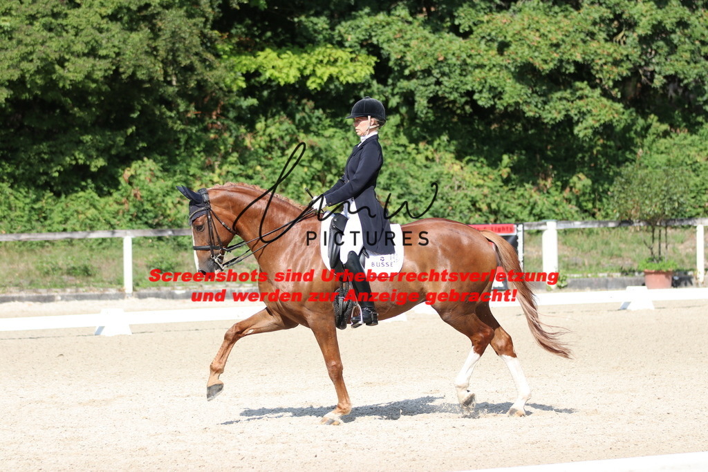 IMG_9321 | lmwpictures - Realisiert mit Pictrs.com