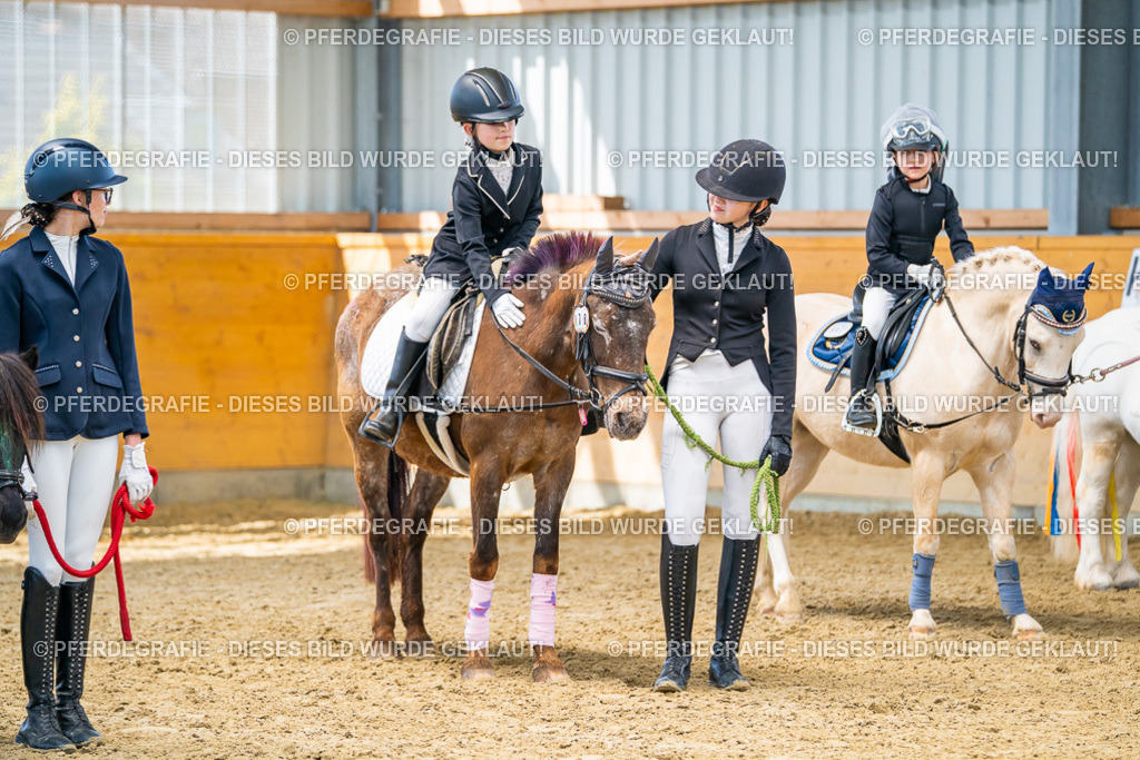 DSC00768 | Pferdegrafie