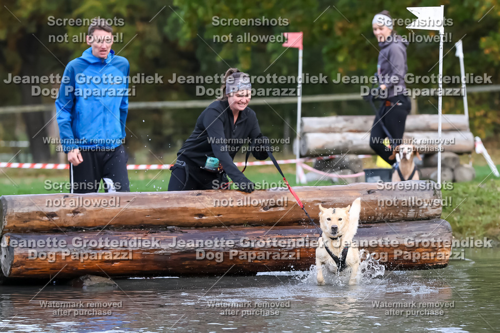 Dog Paparazzi - Strongdog 10-25-6773 | Dog Paparazzi Jeanette Grottendiek Fotografie & Videografie - Realisiert mit Pictrs.com