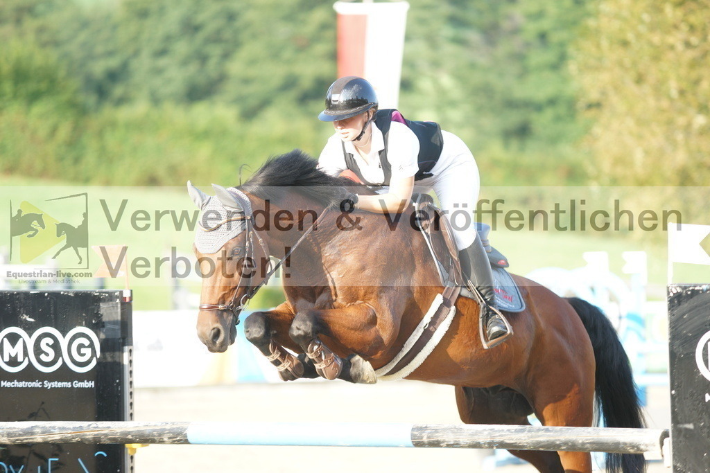 DSC07851 | equestrian-live-com