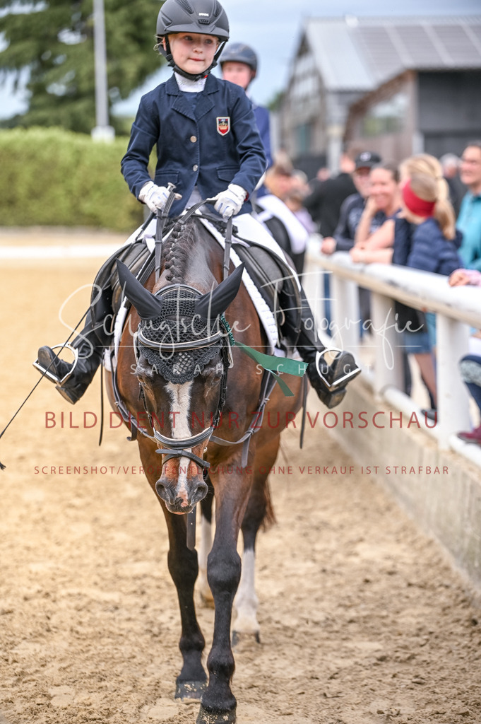 Schugtsche-Aluta25-47.ReiterWB_ST-58 | Schugtsche Fotografie - Realisiert mit Pictrs.com