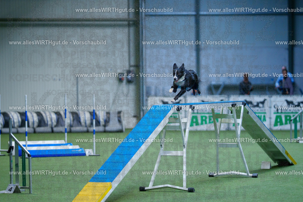 @allesWIRTHgut_Tierfotografie - www.allesWIRTHgut.de - 2604260831-7R507061 | Professionelle Tierfotografie in Mönchengladbach von Daniel Wirth (allesWIRTHgut). Liebevolle & natürliche Bilder von Hunden & Katzen für unvergessliche Erinnerungen.