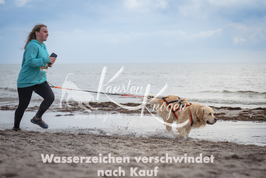 1211_ZZ94827 | kk-dogfotos
